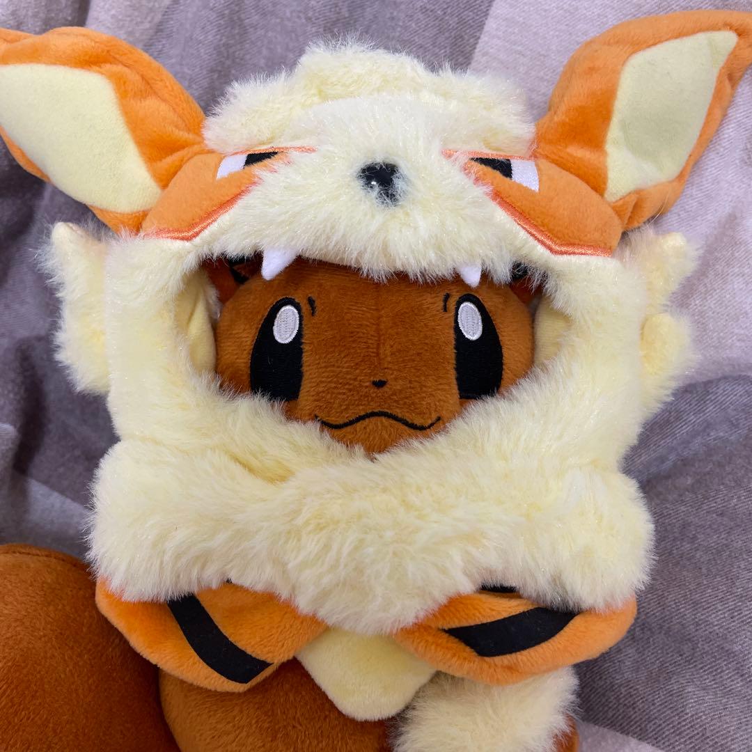 ウィンディポンチョのイーブイ　ノーマル　ぬいぐるみ　ポケモンセンター　沖縄　限定