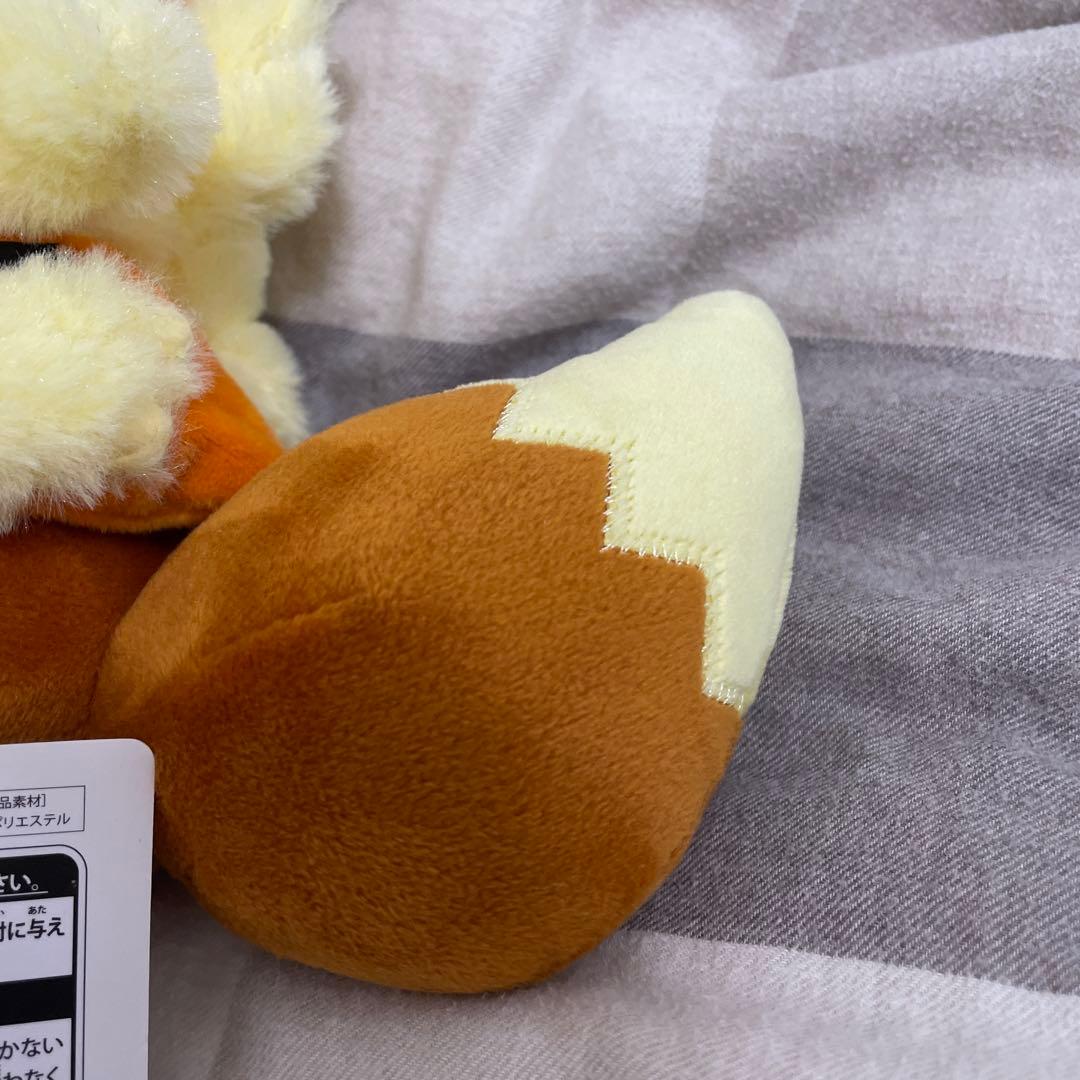 ウィンディポンチョのイーブイ　ノーマル　ぬいぐるみ　ポケモンセンター　沖縄　限定