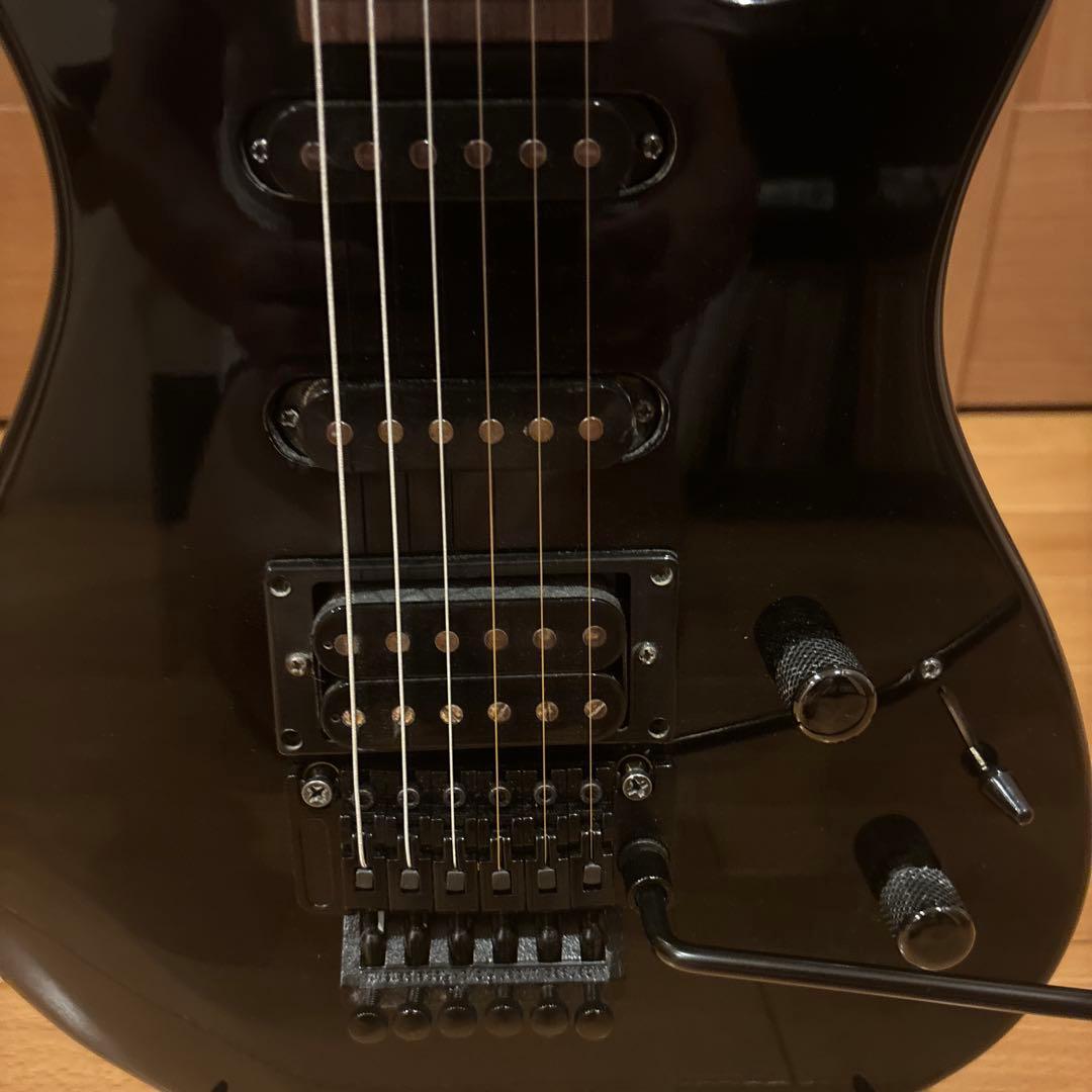 ARIA PRO II VAシリーズ ブラックパーツ仕様 トレモロアーム付