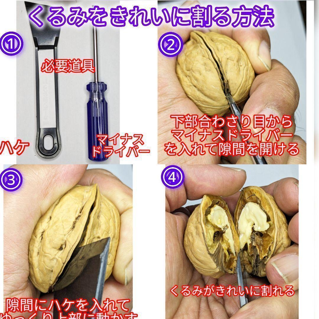 【かおりん商品】25年産 新物 国産 殻付き信濃くるみ 極小〜小 13kg