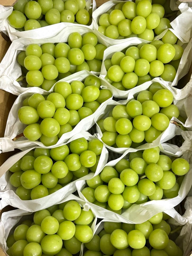 kaedenomo 　今シーズン最終山梨県産シャインマスカット10kg