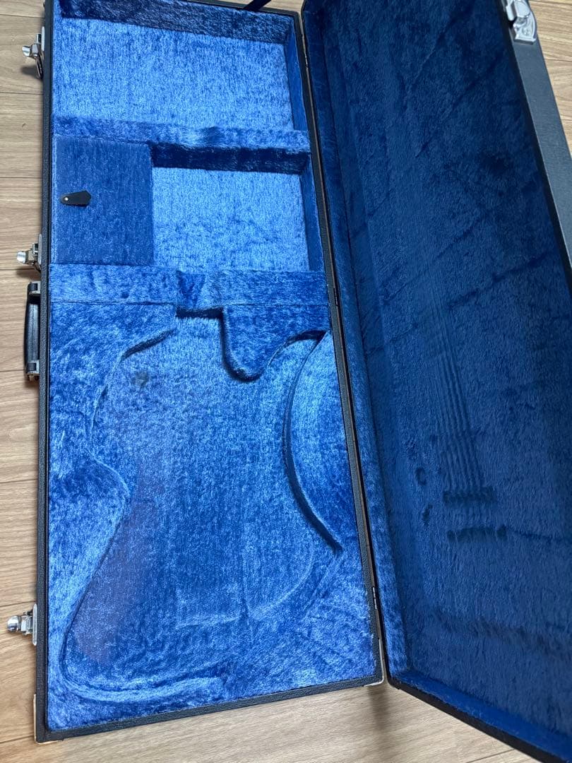 初期 FERNANDES MG用 ハードケース