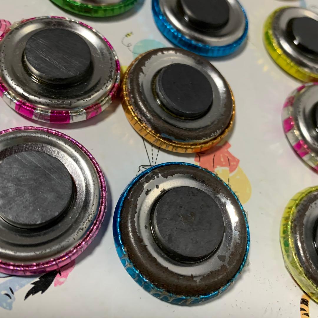 どうぶつの森＋ キラキラ缶マグネット