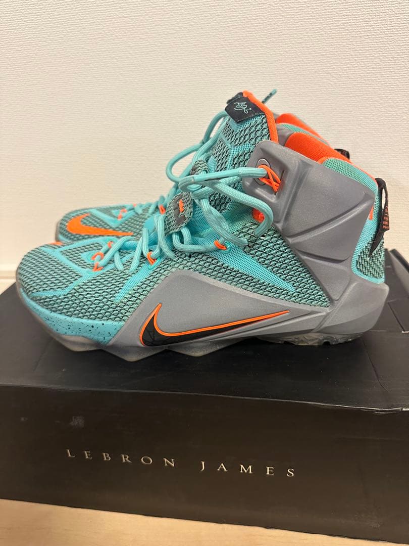 LEBRON XII レブロン12　NIKE バッシュ　ナイキ