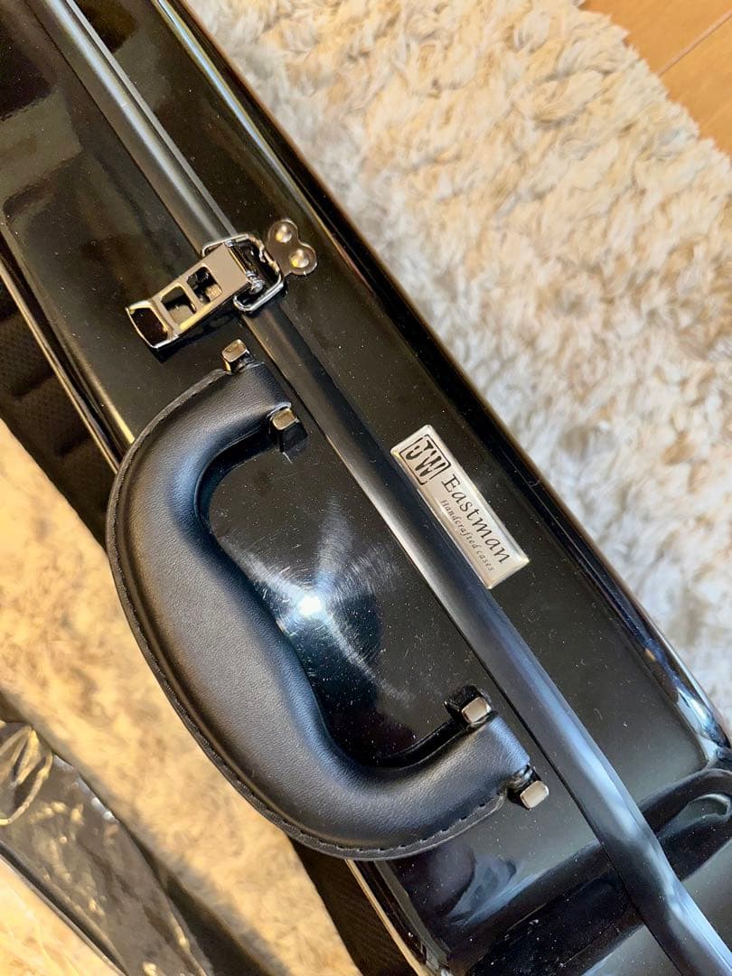 EASTMAN CAVL-16A ブラック バイオリンケース スタンダード