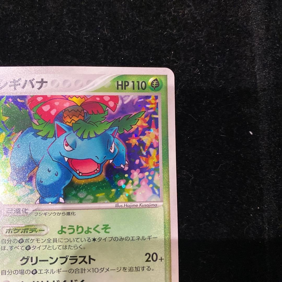 フシギバナ　003/075