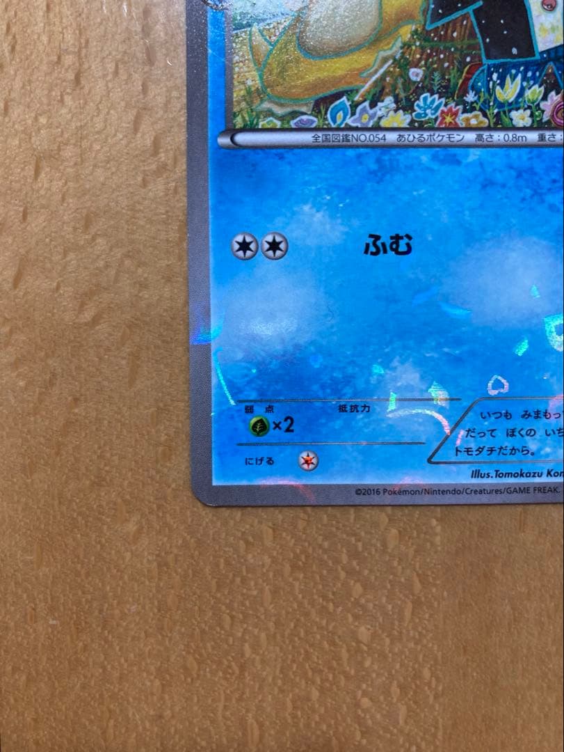 ポケモンカード コダック ポケキュンコレクション XY-P 増田順一コラボプロモ