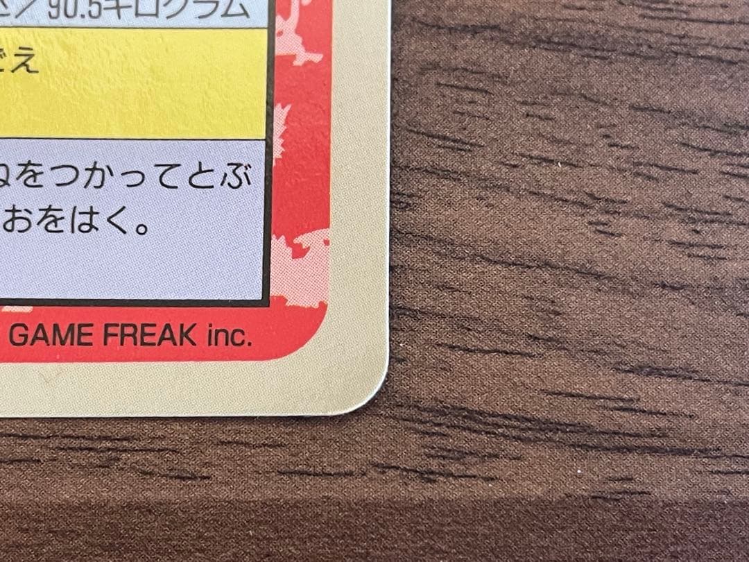 リザードン トップサン 裏青