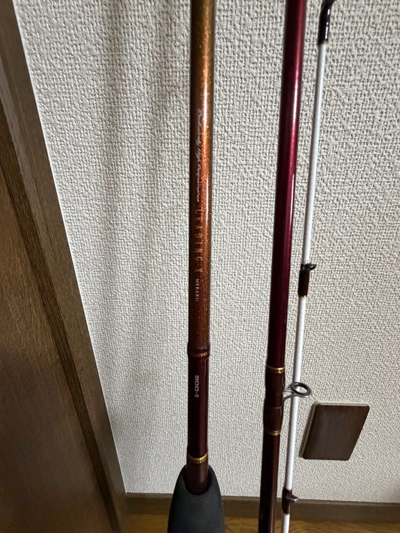 ダイワリーディングxメバル300-Ⅱ