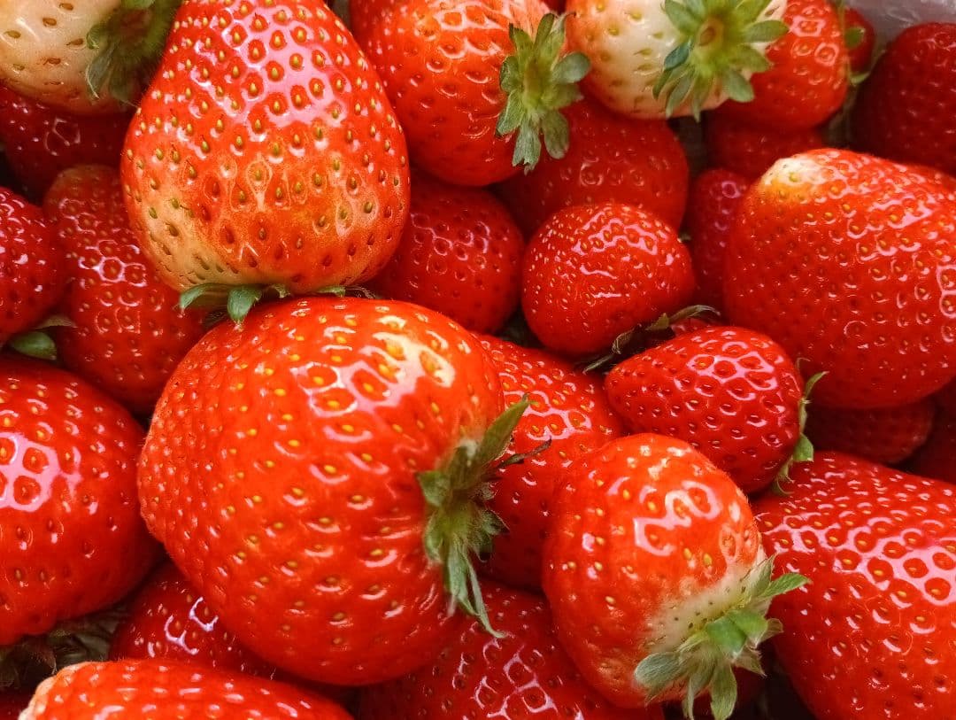 大量約6kg！とちあいか！規格外のため格安！甘くて酸味が少ない品種です！