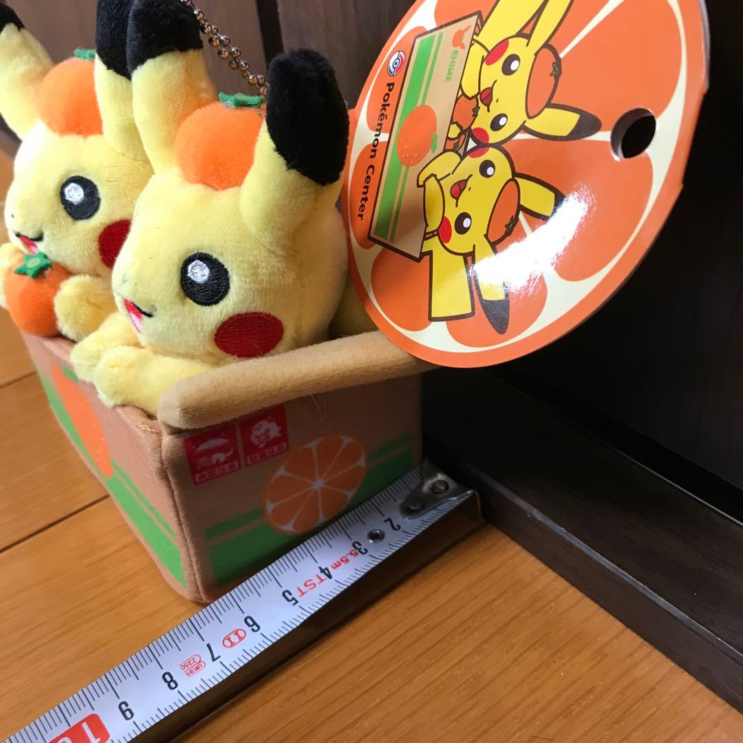 ペアピカチュウとえひめみかん　ぬいぐるみ　愛媛みかん　えひめみかん　愛媛　えひめ