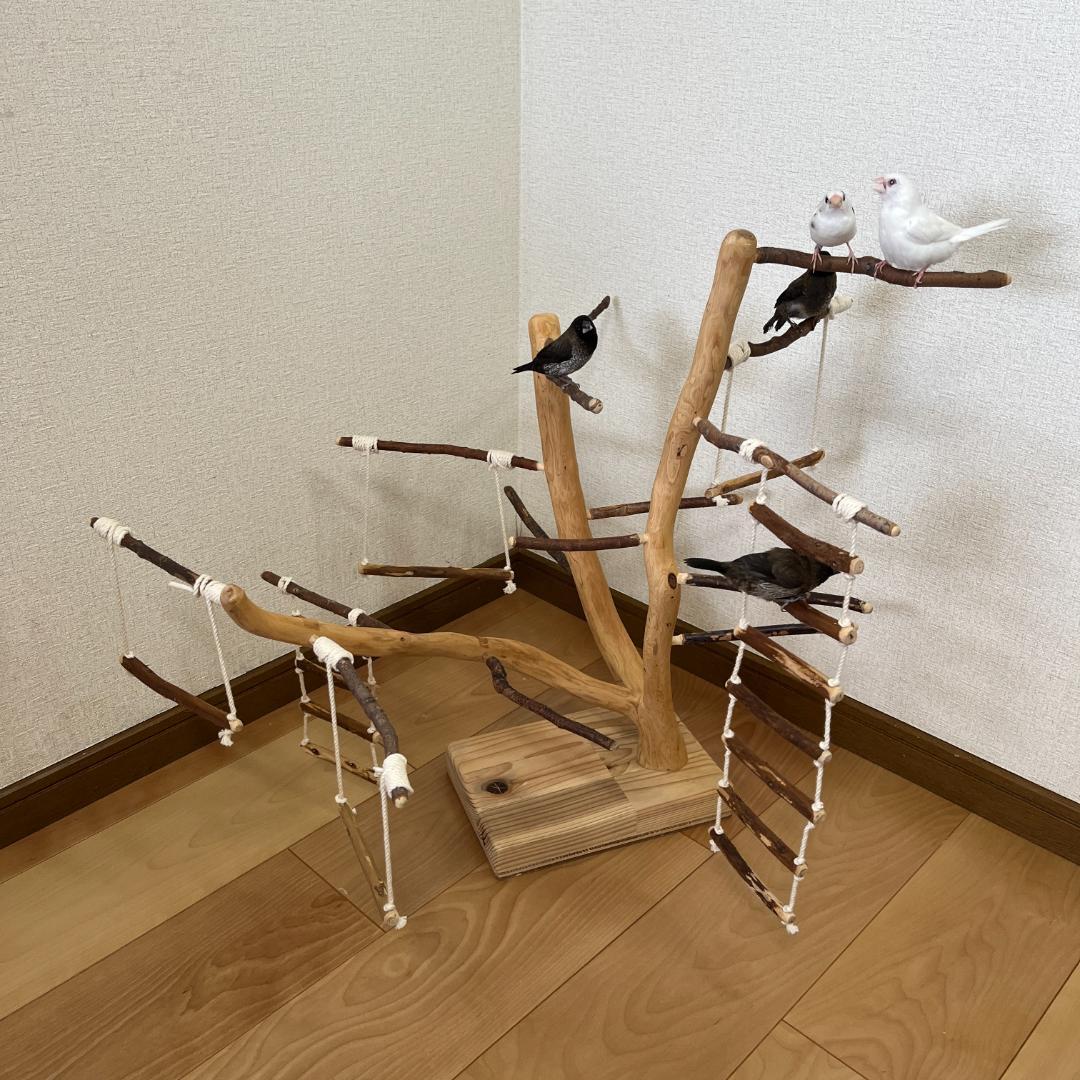 【小鳥用】あちこちブランコ&はしご付♬バードジム