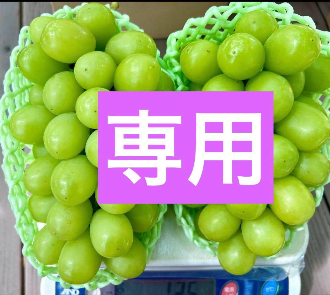 2日発送　COCOページ　クール便