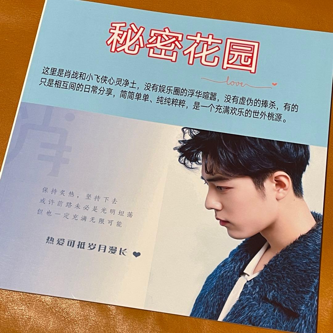 陳情令　肖戦　秘密花園　記事集30P