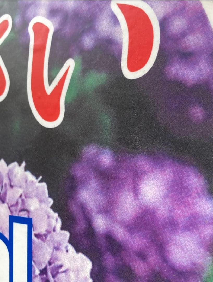 宇治快速　あじさい