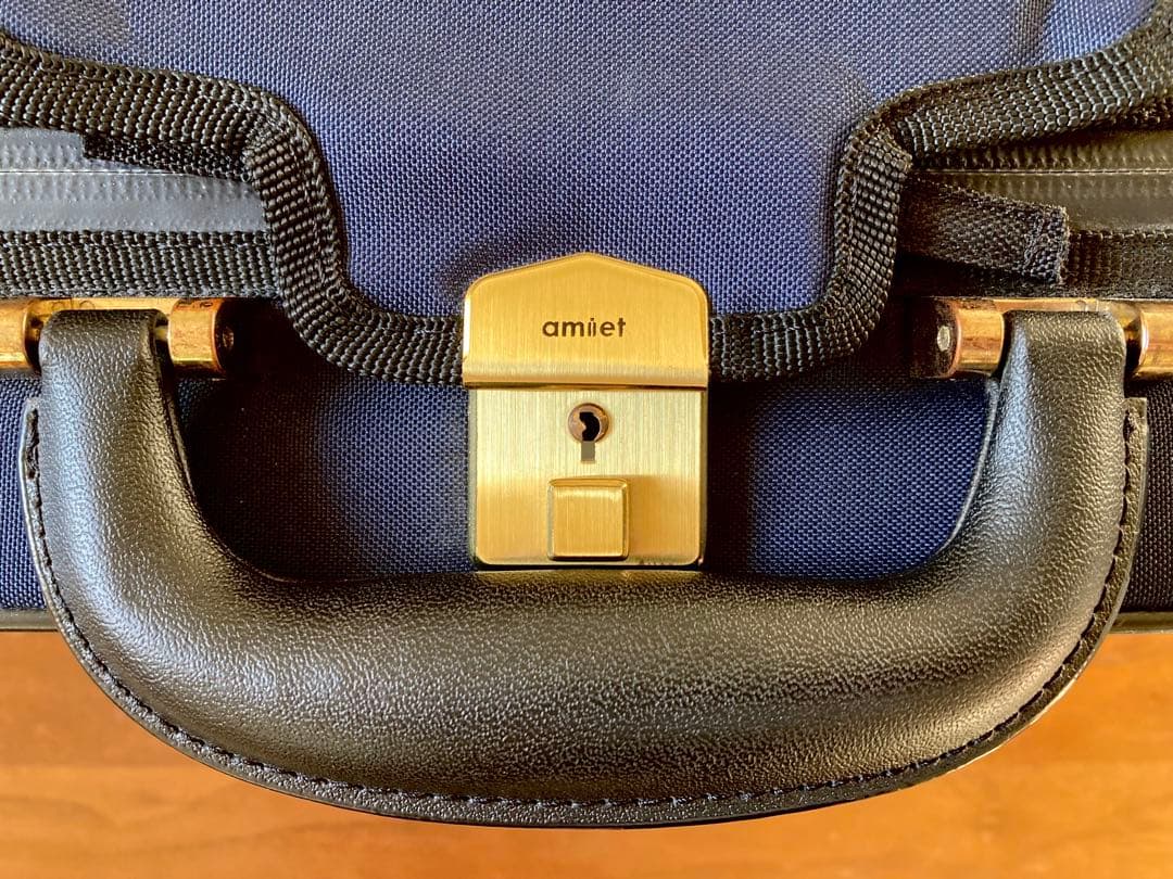 バイオリンケース 機内持ち込み