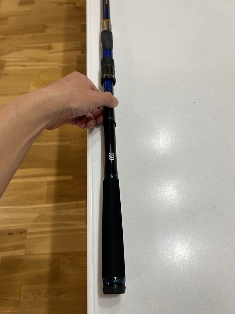 ダイワ　メガディス　ＡＧＳ　２−５３・Ｅ　／磯竿