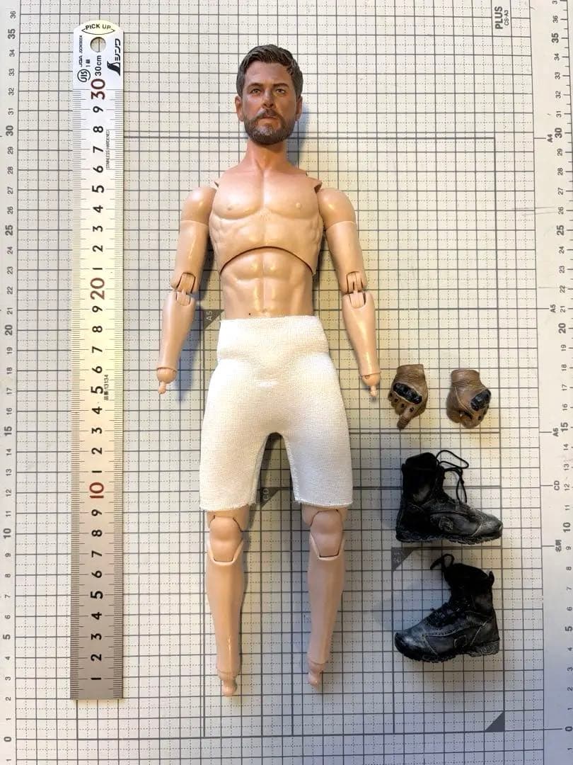 WARFARE風ミリタリーフィギュア damtoys 12インチ カスタム