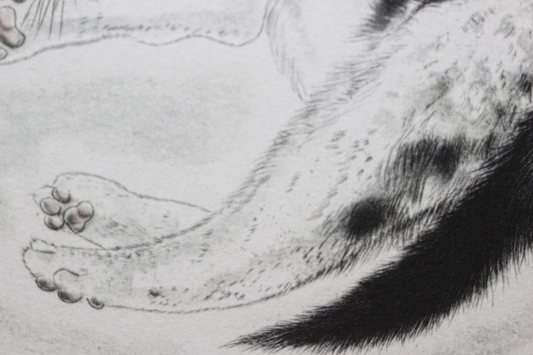 藤田嗣治 リトグラフ 猫十態より「眠る猫」 100部限定 12/100