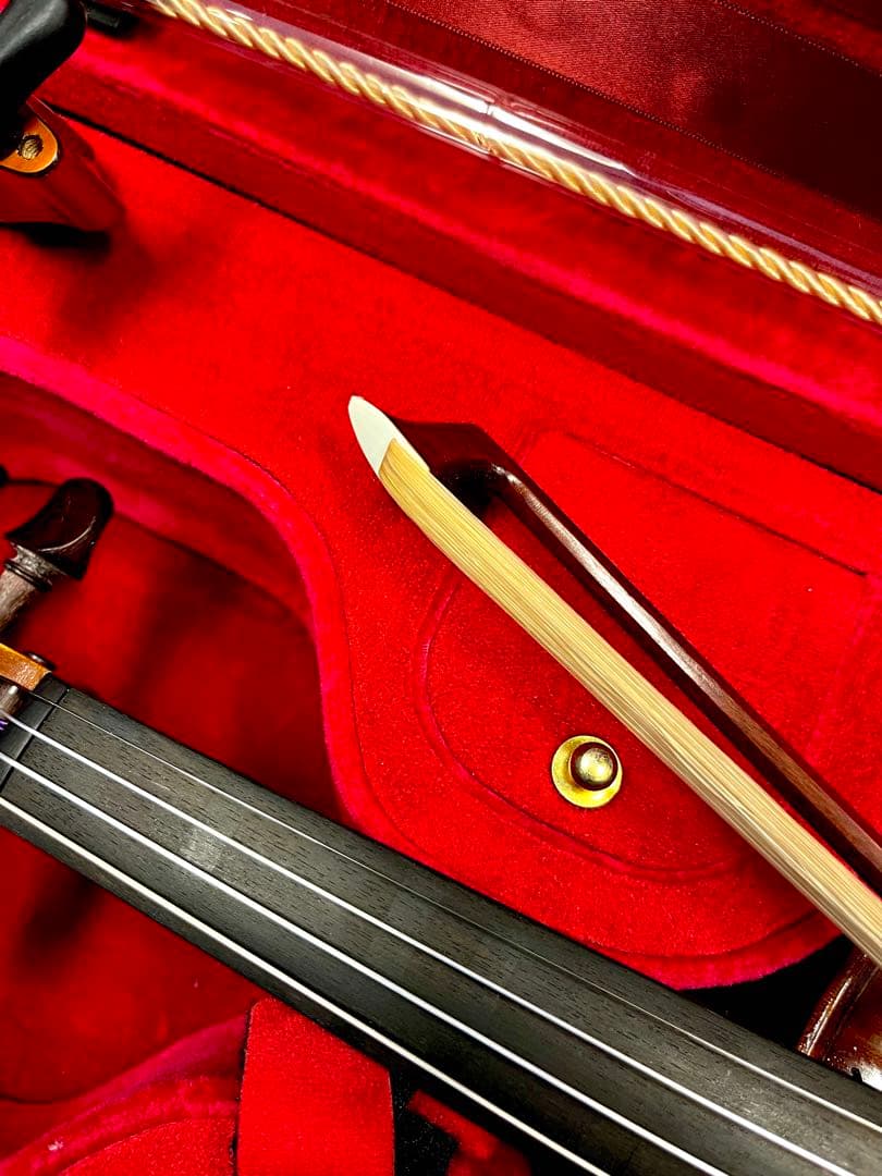 美品フルサイズ バイオリンセット Schon Welleton 2019