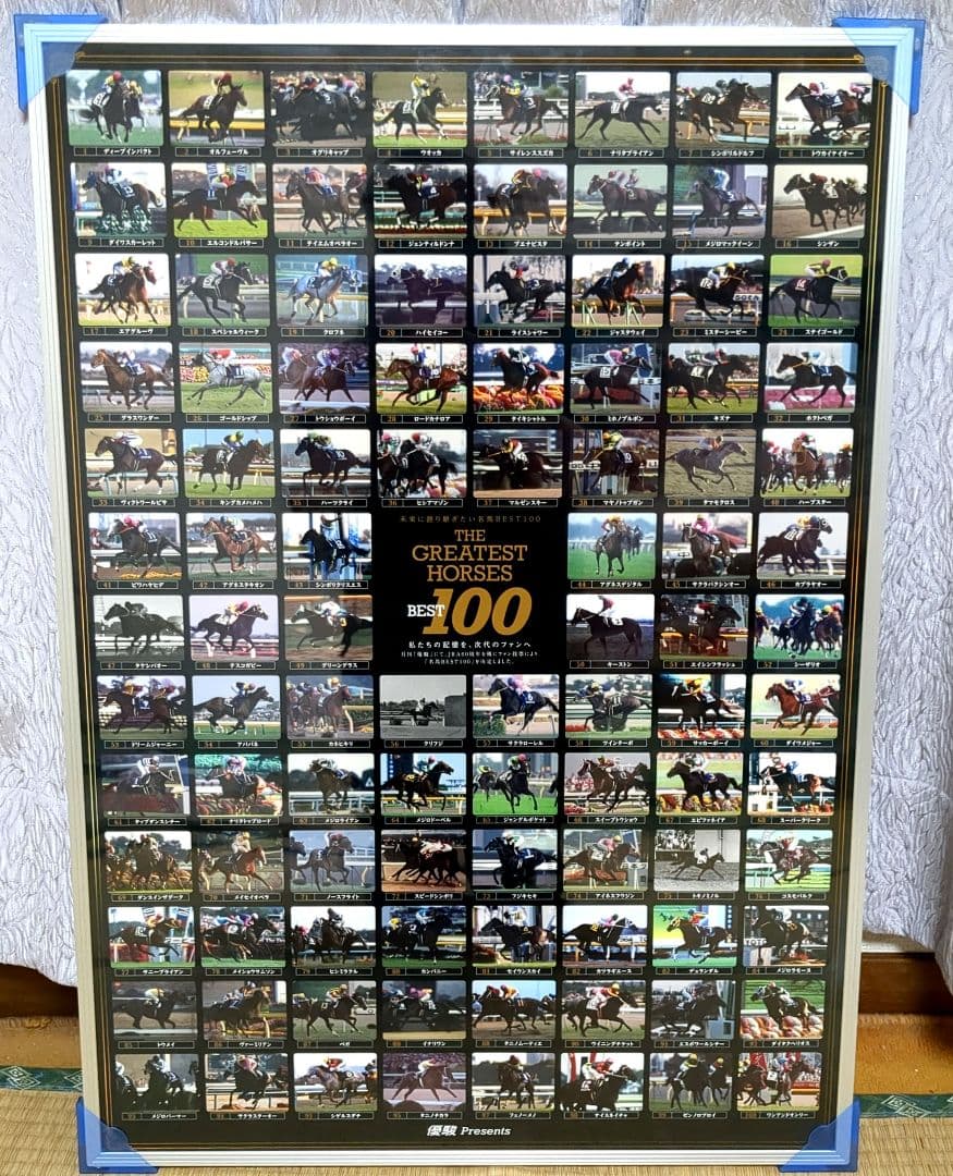 THE GREATEST HORSES 100 ポスター 希少 競馬 JRA