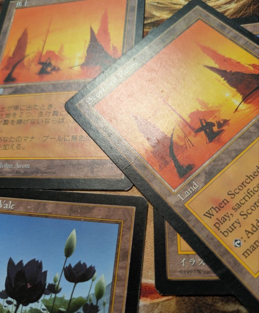 MTG 焦土 水蓮の谷間 日本語版＋英語版 4枚セット