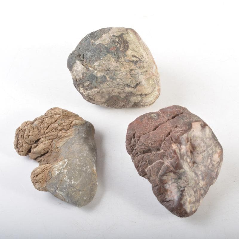天然石　鑑賞石　菊花石など　置物　3点まとめて　C　5459A