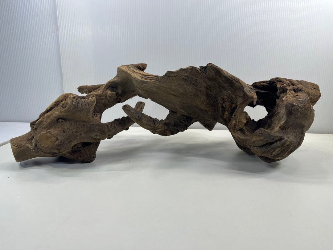 V67アク抜き済み流木 爬虫類シェルター 登り木 インテリア 生け花