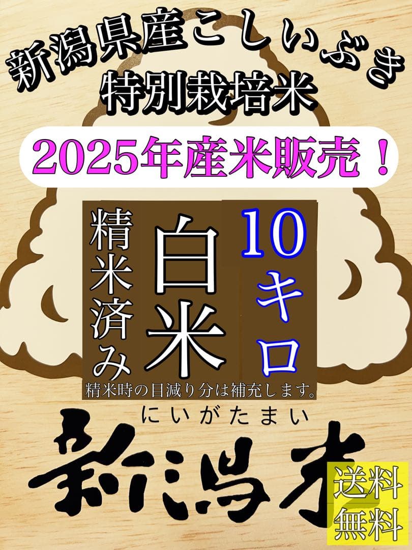 精米済み10キロ【農家直送！】新潟県産こしいぶき　特別栽培米　7年産　低温冷蔵