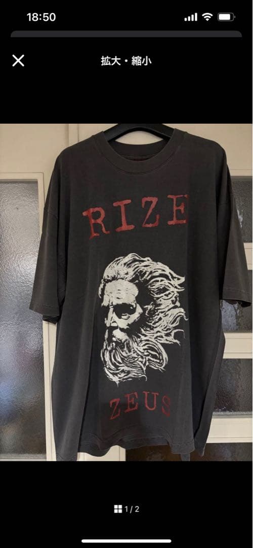 ミュージシャン RIZE ZEUS TEE The BONEZ