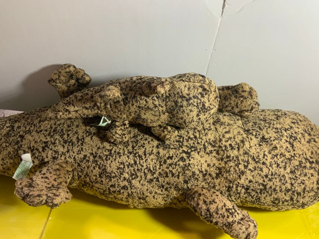 オオサンショウウオ　BIG 大約８５センチ　小約30センチ　小約20センチ