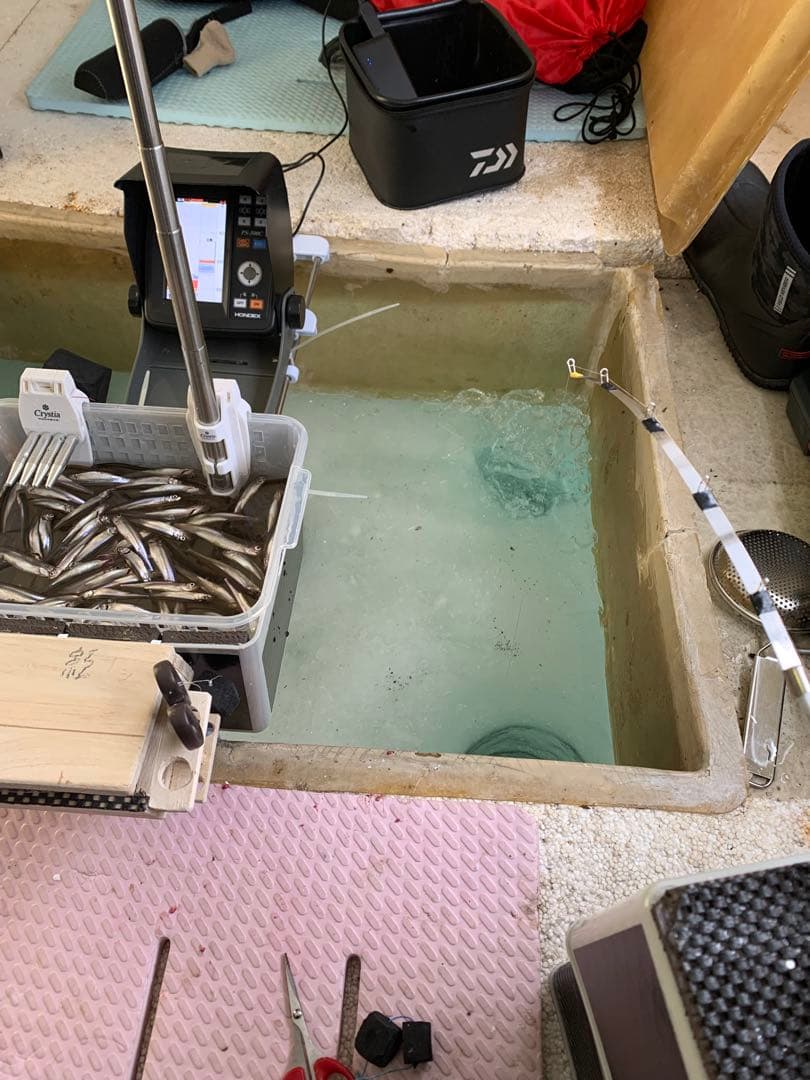 オススメ　氷上ワカサギ釣り　ステンレス穂先　２本　　253ミリ