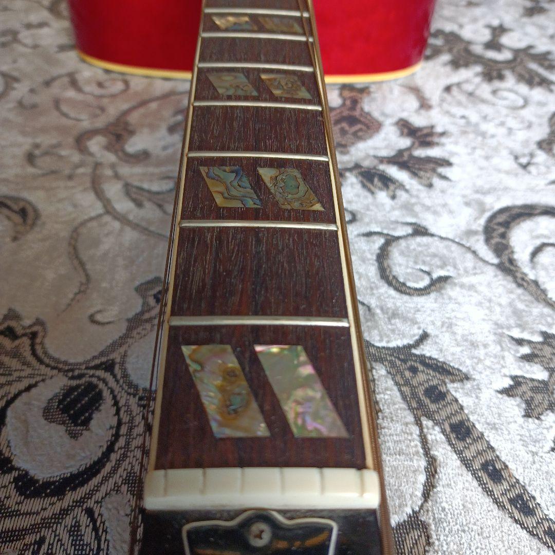 DOVEダヴモデル Burny BD-85 バーニー フェルナンデス 百瀬さん