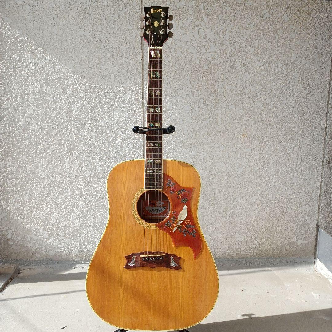 DOVEダヴモデル Burny BD-85 バーニー フェルナンデス 百瀬さん