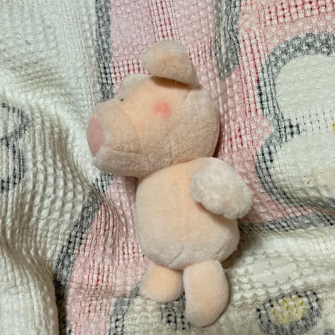 サンアロー　kipper ブタ　ぬいぐるみ　中古品