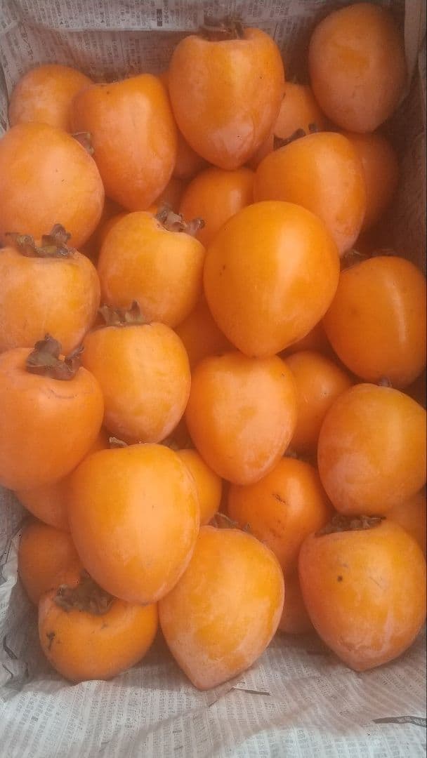 干し柿 ぼんち出品