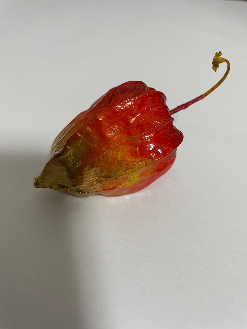 ほおずき　香合