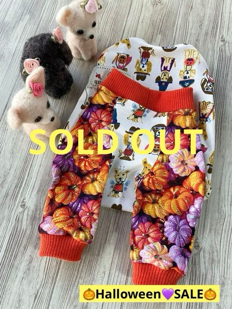 犬服  ラグラン(Ｓ)   ꒡̈⃝Lily꒡̈⃝ハンドメイド   ☻HELLOWEEN☻