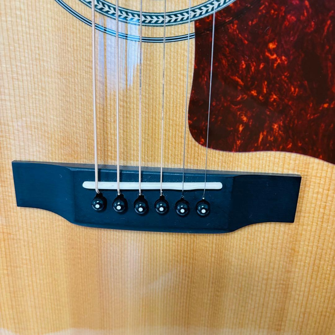 Headway ヘッドウェイ アコギ アコースティックギター HF-5080SE