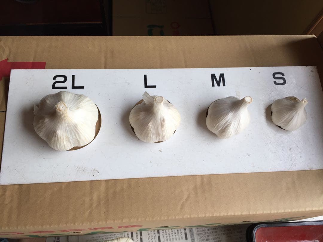 青森県産にんにくSサイズ5キロ