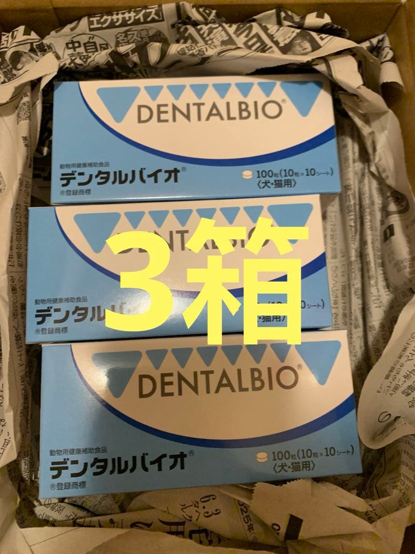共立製薬　DENTALBIO デンタルバイオ 100粒❌3箱