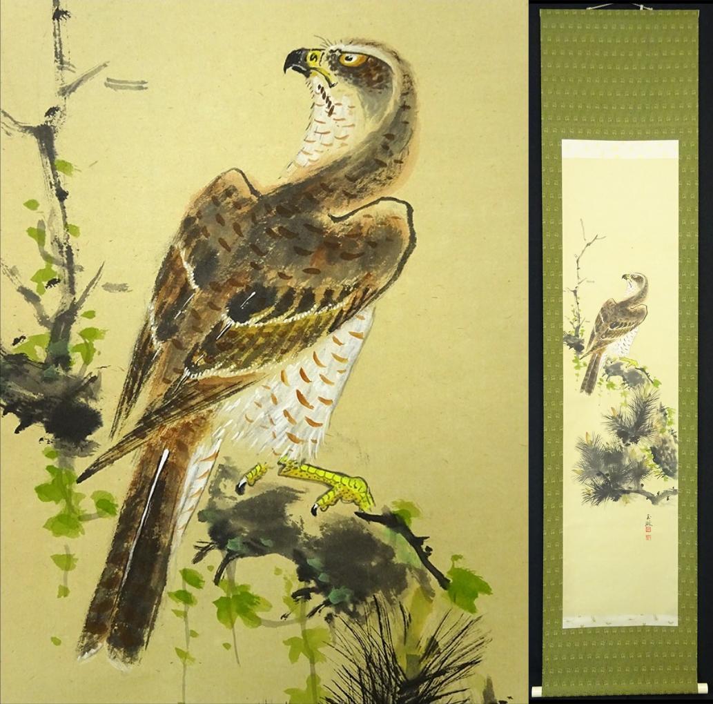 【真作】掛軸 丸尾玉琳『老松に鷹之図』紙本 共箱付 掛け軸 a100816