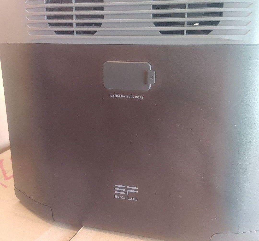 な*や様 正規整備済品　EcoFlow DELTA 2 ポータブル電源