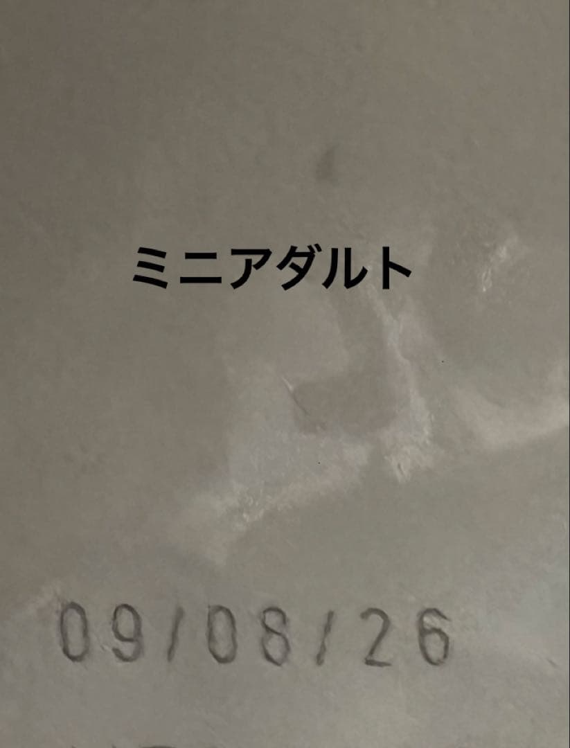  CANIN ミニアダルト 15キロ