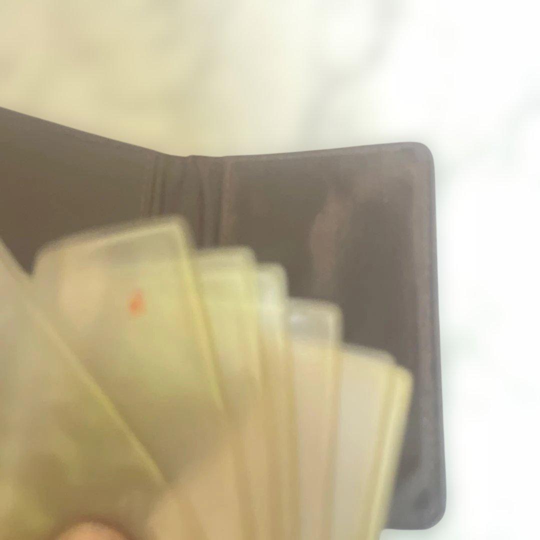 激レア♡Hello Kittyハローキティ ヒョウ柄 カードホルダー