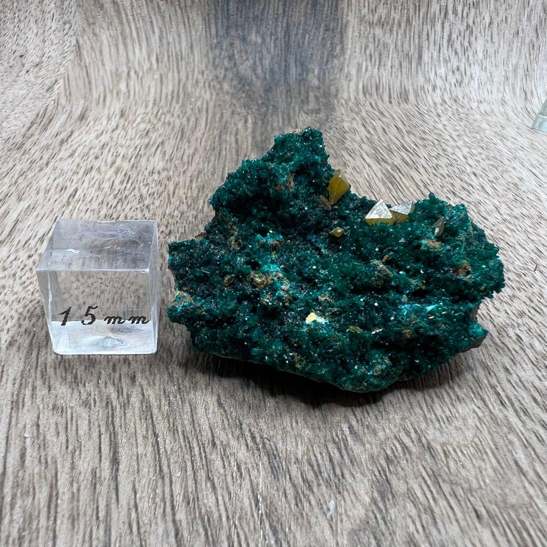 ダイオプテーズ ウルフェナイト 共生 鉱物 標本 原石