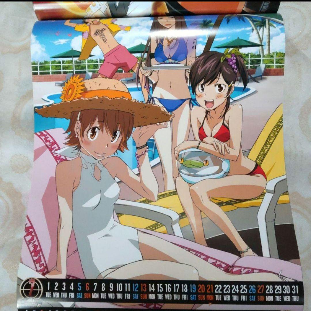 2008　カレンダー　家庭教師ヒットマンREBORN　ツナ　沢田綱吉　リボーン