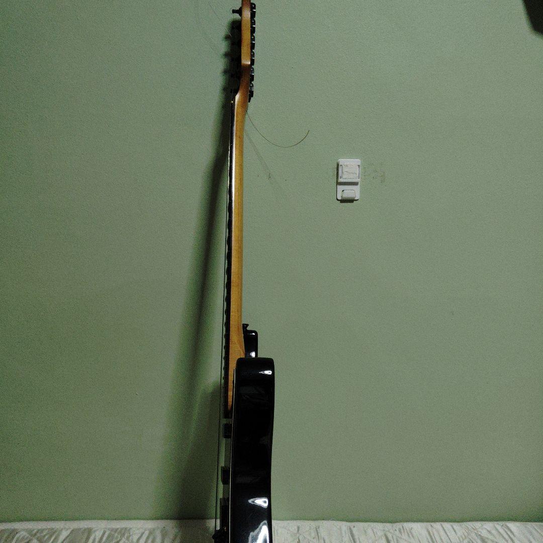 エレキギター FERNANDES