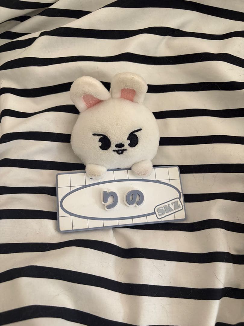 skzoo リービット まとめ straykids リノ