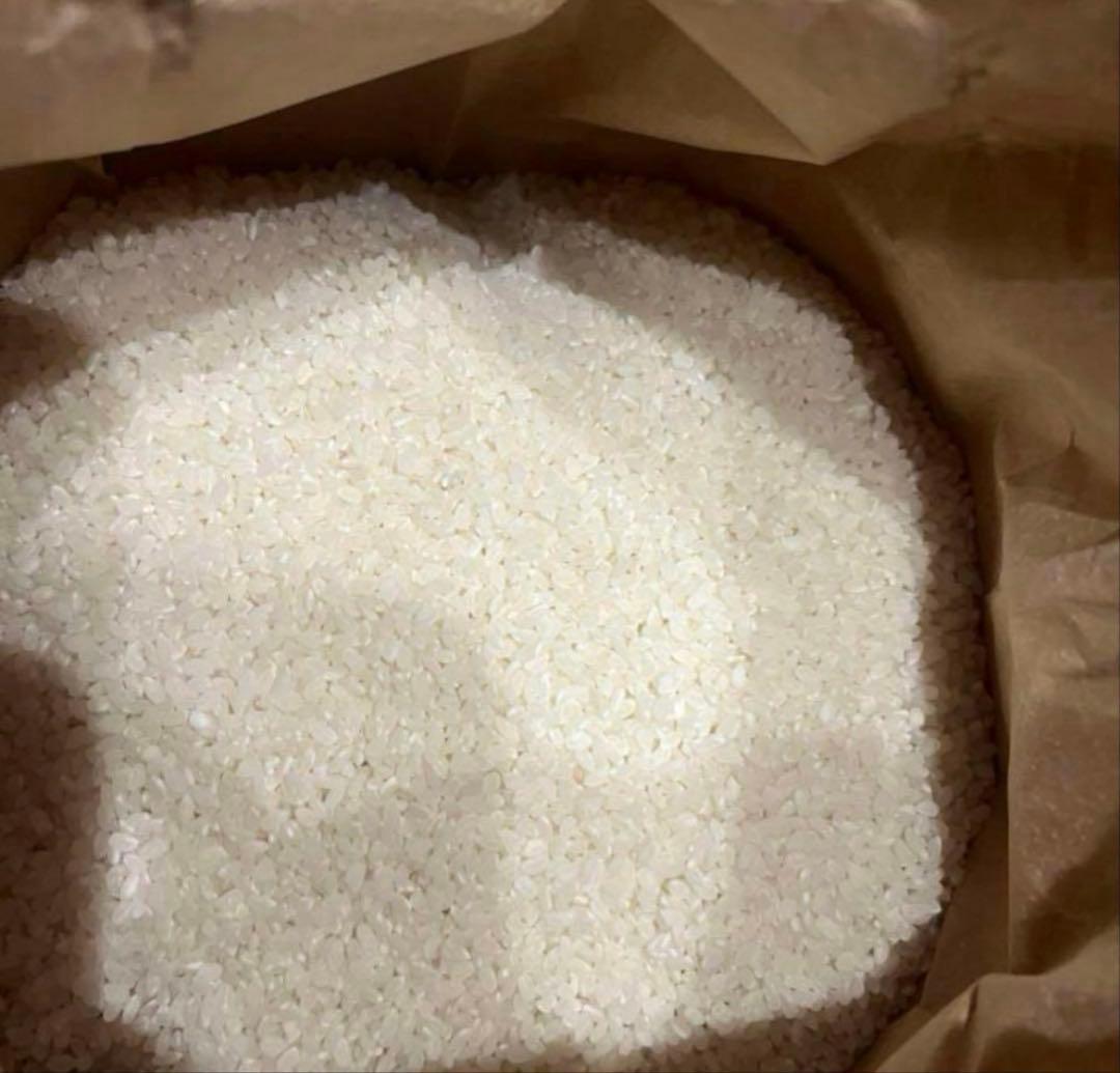 米　10キロ　日本産　精米済み